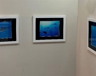 (3) "Fish" Photographs, Signed