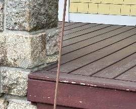 Carpe Fish Garden Ornament