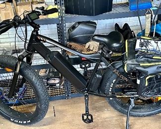 Falcon Electric Bike