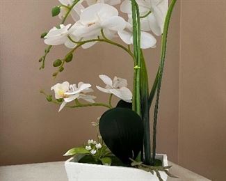 Silk orchid 