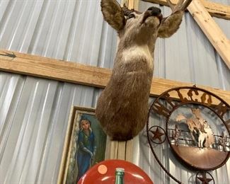 Deer mount