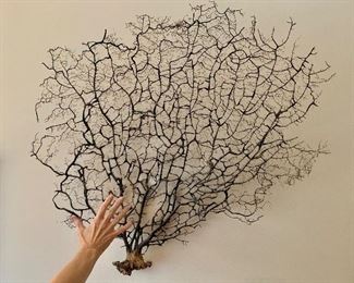 Branch Coral wall sculpture 