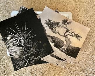Signed collection black and white photographs 