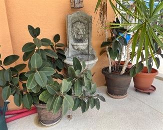 Lots of large potted plants and another fountain