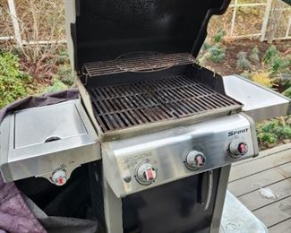 Weber BBQ