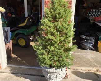 #82	Concrete Base Urn w/cherubs & flowers - 56" Tall w/ Tree	 $100.00 
