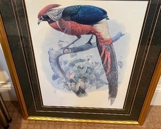 Bird art print