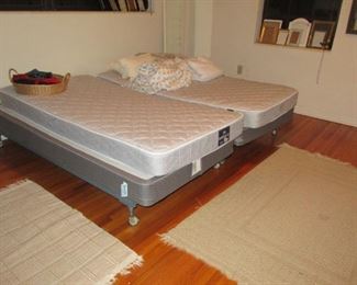 Witty new sealy beds