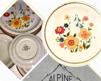 Alpine Mountain Stoneware 
Floral Fantasy 
Oven to Table Dinnerware Set