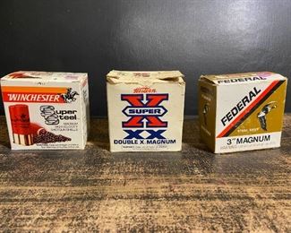 067 12 10 Gauge Ammo