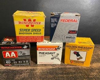 068 20 Gauge Ammo