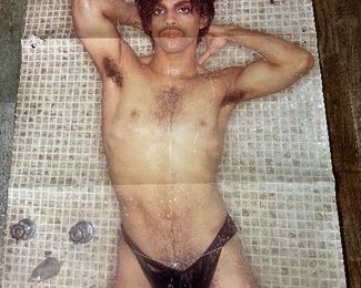 Prince Controversy LP Poster Insert