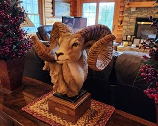 Stephen Herrero-Tough Enough