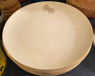 Dinner Plates with Pharmaceutical Design