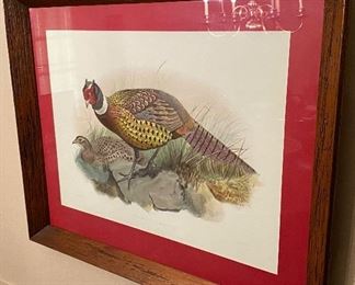 Pair of Pheasant Prints