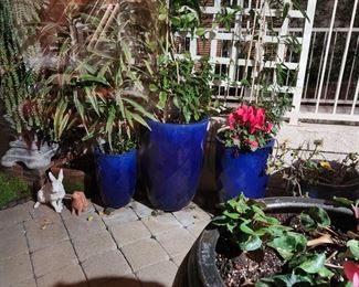 Large Cobalt Blue Planters with plants. HEAVY ITEM BRING HELPER AND TRUCK!