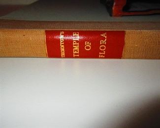 Thornton's "Temple of Flora" Geoffrey Grigson & Handasyde Buchanan, c. 1951