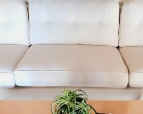c1950 Ethan Allen White Damask sofa with matching chair. Low and very deep seating. Like new. Kept under plastic in a living room since purchase. Cherry wood sides and legs.