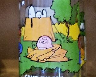 Camp Snoopy Collection