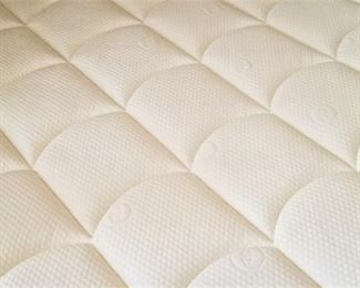 Queen and King mattresses with electric 