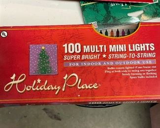 Holiday Place 100 Multi Mini Lights 