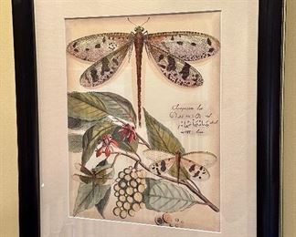 (2) Dragonfly Prints