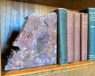 Petrified Wood Bookends