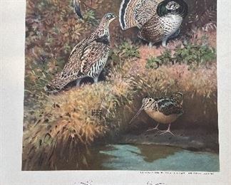 Game Birds of America - 12 Paintings By Lynn Bogue Hunt. Copyright 1944 By Field & Stream Publishing. Photo 4 of 13.