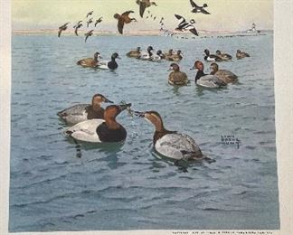 Game Birds of America - 12 Paintings By Lynn Bogue Hunt. Copyright 1944 By Field & Stream Publishing. Photo 7 of 13.
