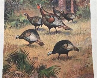 Game Birds of America - 12 Paintings By Lynn Bogue Hunt. Copyright 1944 By Field & Stream Publishing. Photo 9 of 13.