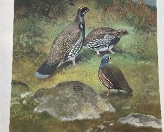 Game Birds of America - 12 Paintings By Lynn Bogue Hunt. Copyright 1944 By Field & Stream Publishing. Photo 10 of 13.