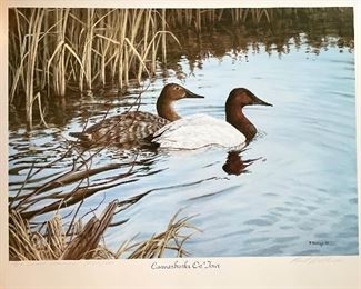 Canvasbacks on Tour Signed & Numbered Lithograph.