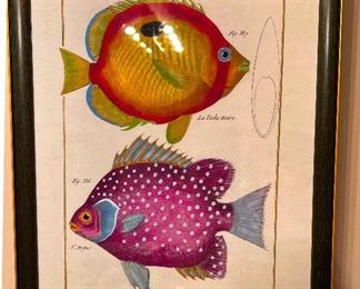  (Pair) Historie Naturelle - signed:  Benard Direxit