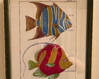 (Pair) Historie Naturelle - signed:  Benard Direxit