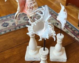 Rare & Unique  sea shells on hand painted stands