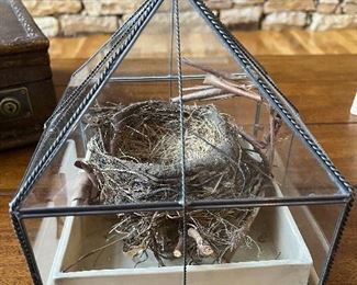 "Hen Feathers"Bird nest terrarium 