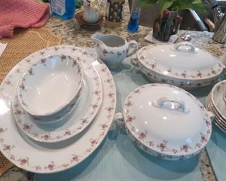 ANTIQUE AUSTRIAN CHINA.  EARLY SALE.  $300.  919-417-1950 FOR APPOINTMENT.