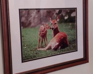 Print of deer and fawn