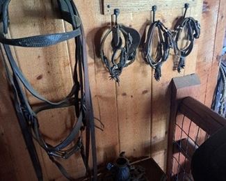 Lots of tack, spurs and saddles