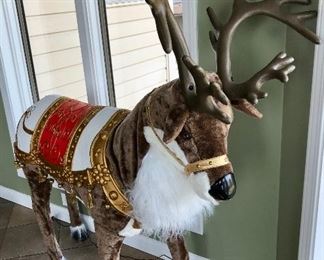 Reindeer 