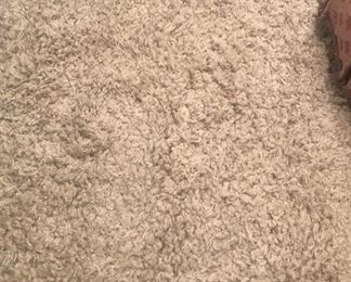 Rug - 8 feet  x  10 feet