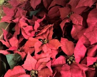 Poinsettias 
