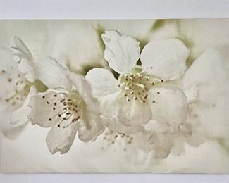 "Lillies" on Stretched Canvas