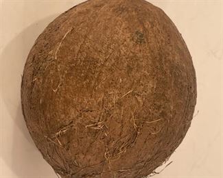 So this is the Castaway Coconut given to the family from Tom Hanks