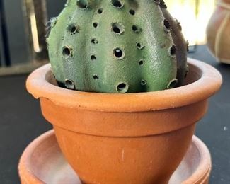 Metal Barrel Cactus in Pot	6.5 x 5 diameter.	
