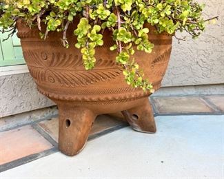 Terracotta Planter with Plant 	16 x 20in Diameter	
