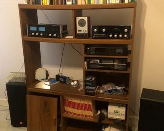 entertainment unit with colorful mohawk