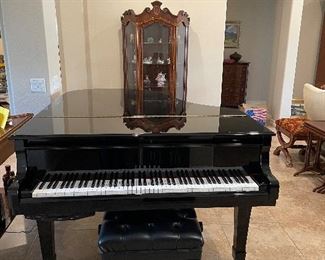 Yamaha C3 grand piano 
Upgraded keys
High quality sound board
6 feet long and 5 feet wide