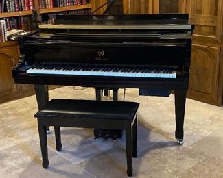 Vienna piano made by Borsendorpher pianos & it has a player system 