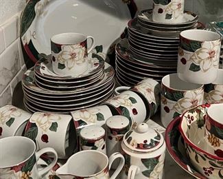 Tienshan China Magnolia